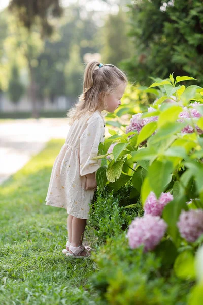 Menina Parque Cheira Arbusto Com Uma Flor Dobrando Sobre Ele — Fotografia de Stock