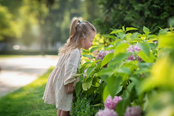 Маленька Дівчинка Парку Нюхає Кущ Квіткою Обертається Над Ним — стокове фото