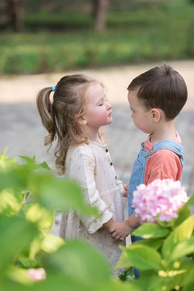 Маленький Хлопчик Дівчинка Стоять Тримаючись Руки Цілуються Валентинів День — стокове фото