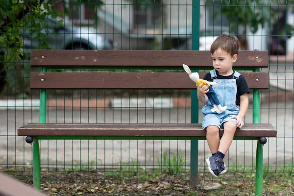 Adorabile Ragazzo Siede Una Panchina Sul Parco Giochi Guarda Coniglietto — Foto Stock