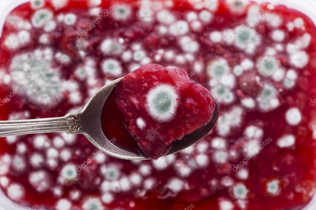 можно ли есть варенье если убрать плесень. плесень на варенье. плесень на продуктах. плесневое варенье. плесень на варенье.