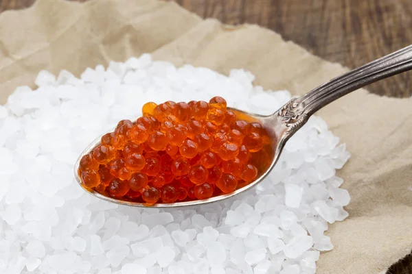 El caviar rojo — Foto de Stock