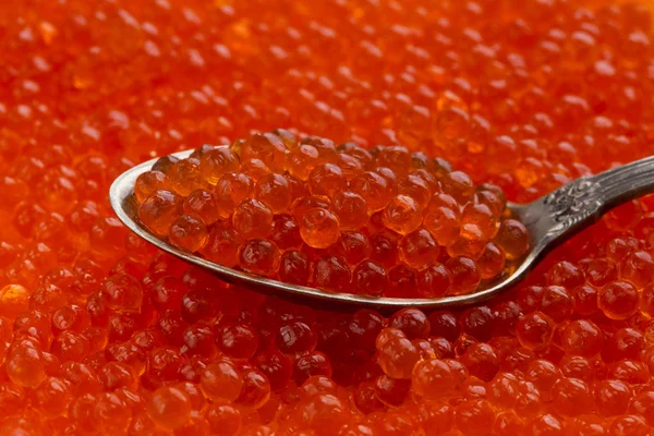 The red caviar — Stock Photo, Image