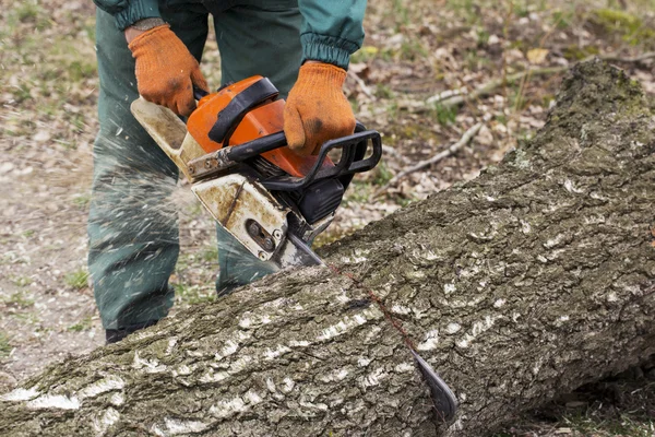 Kettensäge in der Hand — Stockfoto