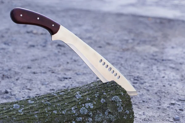 güdük içinde sıkışmış pala