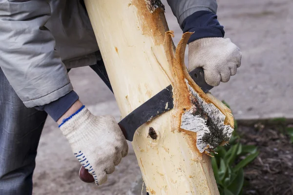Man removes the bark — Stock Photo, Image