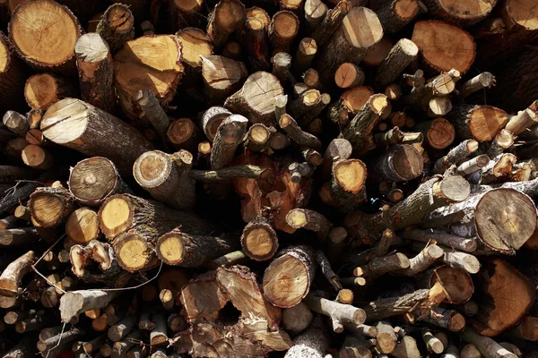 La legna da ardere tagliata — Foto Stock