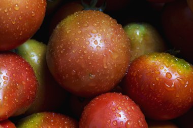 Taze kırmızı domatesler