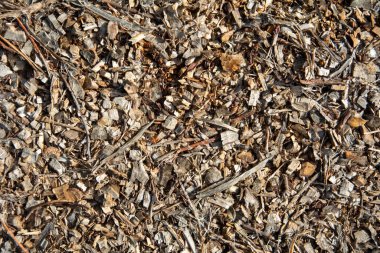 Kuru ahşap saman ve orman zemininde parçalanmış ağaç kabuğu parçalarının doğal arka planı.