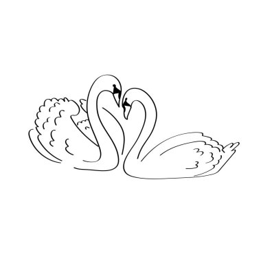 İki kuğu kalp şeklinde karalama çizimleri yapıyor. Düğün posterleri için el çizimi aşk sembolü Sevgililer Günü tebrik kartları ve romantik duvar resimleri.