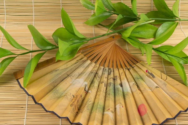 Orientaliska utomhus fläkt och gröna stjälkar på bambu matta — Stockfoto