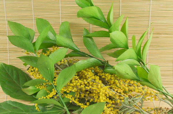 Fresh Mimosa flower and green branch on a bamboo Mat