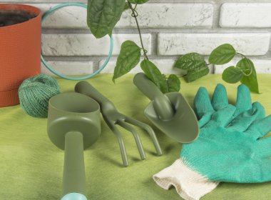 Bahçe aletleri, yeşil zemin üzerine iş eldivenleri