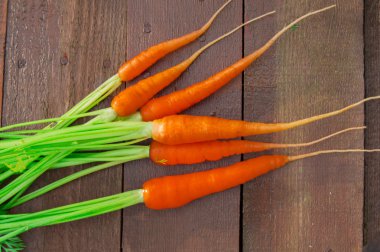 Taze havuç yaprakları rustik ahşap arka plan ile. Seçici odak