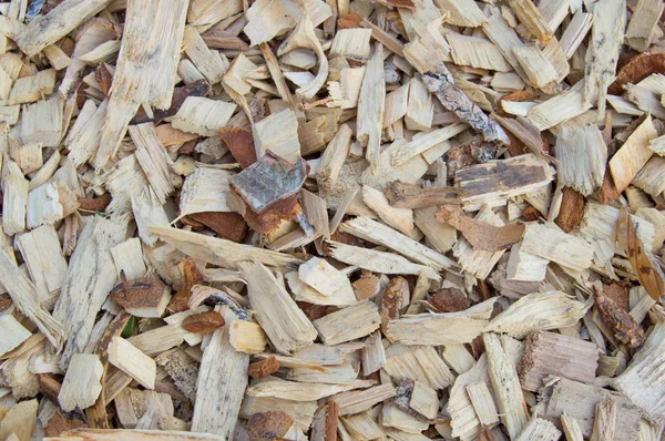 Dřevěné hobliny čipy, přírodní materiál pozadí vzorek — Stock fotografie