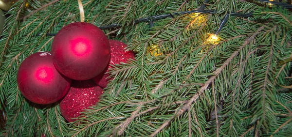 Traditionelle Rot Glänzende Weihnachtsdekoration Glaskugeln Auf Einem Echten Weihnachtsbaumzweig Neujahrshintergrund — Stockfoto