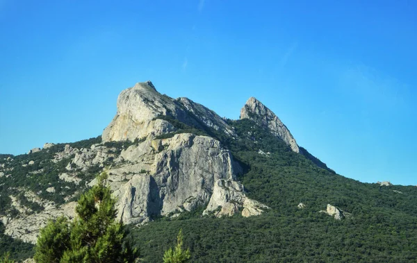 Скалистые Вершины Гор Покрытые Зелеными Деревьями Против Яркого Солнечного Неба — стоковое фото
