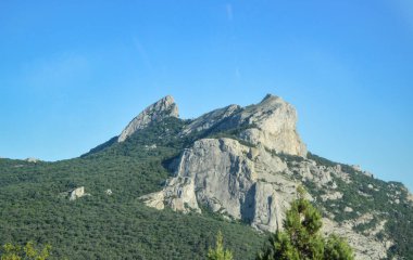 Parlak güneşli gökyüzüne karşı yeşil ağaçlarla kaplı Rocky dağlarının tepeleri.
