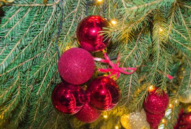 Köknar dallarının arka planında parlak kırmızı ve altın renkli balonlar, köknar dalları ve süslemeleri olan otantik Noel arkaplanı. Kopyalama alanı olan düz katman