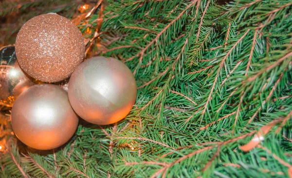 Decorações de Natal douradas e brilhantes. Bolas de vidro em um ramo de árvore de Natal real, fundo do ano novo, banner — Fotografia de Stock