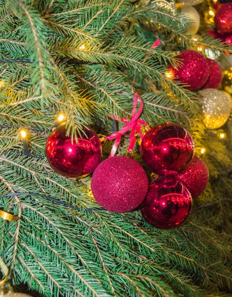 Söt jul mousserande rött och guld glas bollar på naturliga gran grenar bakgrund, äkta jul bakgrund med gran grenar och dekorationer, vertikal ram — Stockfoto