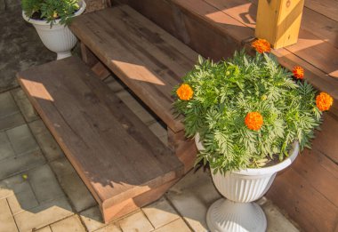 Üzerinde çiçek açan kadife çiçekleri olan yerde duran beyaz bir vazo bir kır evindeki verandanın merdivenlerinin yanında duruyor..