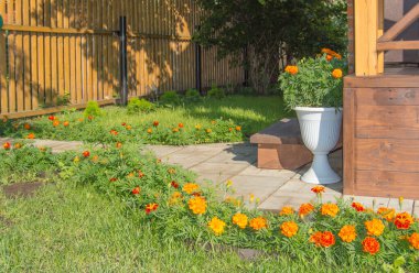 Bahçe, vazo, yeni ahşap çit, çimenlik ve çiçek açan kadife çiçekleriyle donatılmış güzel bir bahçe tasarımı..
