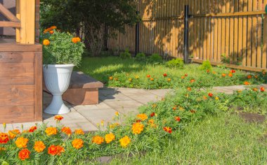 Bahçe, vazo, yeni ahşap çit, çimenlik ve çiçek açan kadife çiçekleriyle donatılmış güzel bir bahçe tasarımı.