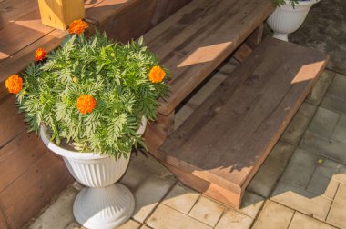 Üzerinde çiçek açan kadife çiçekleri olan yerde duran beyaz bir vazo bir kır evindeki verandanın merdivenlerinin yanında duruyor..