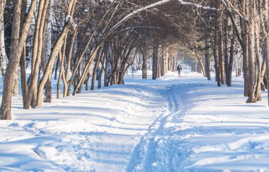 Park 'ta kışın karla kaplı dar bir sokakta, ağaçların dalları bir kemer oluşturur, güneşli bir günde..