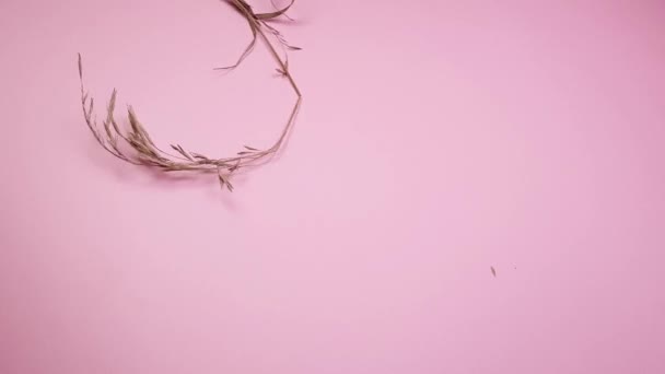 Руки Флориста Готовящего Сухие Травы Мешок Канвы Композита Розовом Фоне — стоковое видео