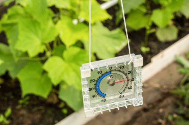 Serada hava sıcaklığını ölçmek için termometre.