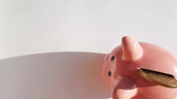 Nahaufnahme Kamerabewegung Über Sparschwein Mit Schlitz Und Eingelegter Münze Spar — Stockvideo