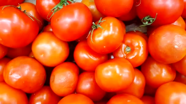 杂货店里一堆新鲜西红柿的图片 超市里新鲜蔬菜 从左到右平铺 4K视频 — 图库视频影像
