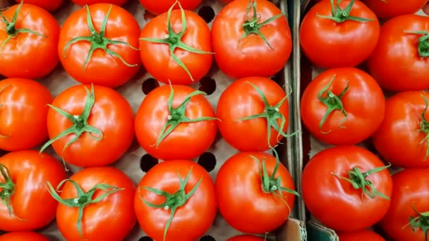 Grabación Una Gran Pila Tomates Frescos Una Tienda Comestibles Verduras — Vídeos de Stock