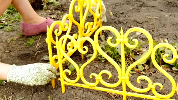 一个戴手套的女人在花园的花坛上架起了一个黄色的篱笆 夏天公园里的园林设计和园艺 与自然一起放慢了速度 — 图库视频影像