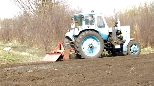 Traktor Orá Půdu Poli Vesnici Obdělává Kácí Rýhy Zemi Zemědělské — Stock video