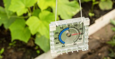 Serada hava sıcaklığını ölçmek için termometre.