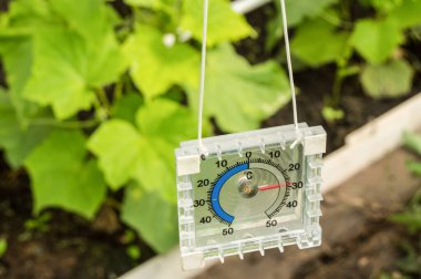 Serada hava sıcaklığını ölçmek için termometre.