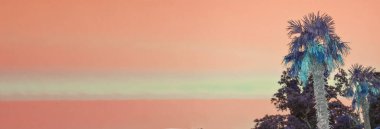 Tropik peyzaj afişi. Hindistan cevizi palmiyesi, uzayın bir kopyası olan Sunset turuncu gökyüzünün arka zeminine karşı..