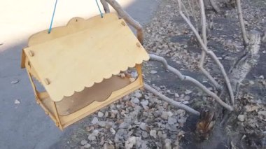 Ağaçta sallanan ekmek dilimleriyle kuş yemleyici, bir sonbahar ya da bahar parkının arka planında, soğuk dönemde kuşlara bakıyor, 4k video