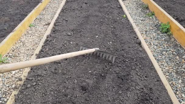 Giovane Agricoltrice Macina Terreno Con Rastrello Giardino Primavera Prima Piantare — Video Stock