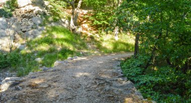 Güneşli bir yaz gününde çekilen fotoğraf yoğun bitki örtüsüyle gölgeli bir dağ bölgesinin içinden geçen kayalık bir patika.