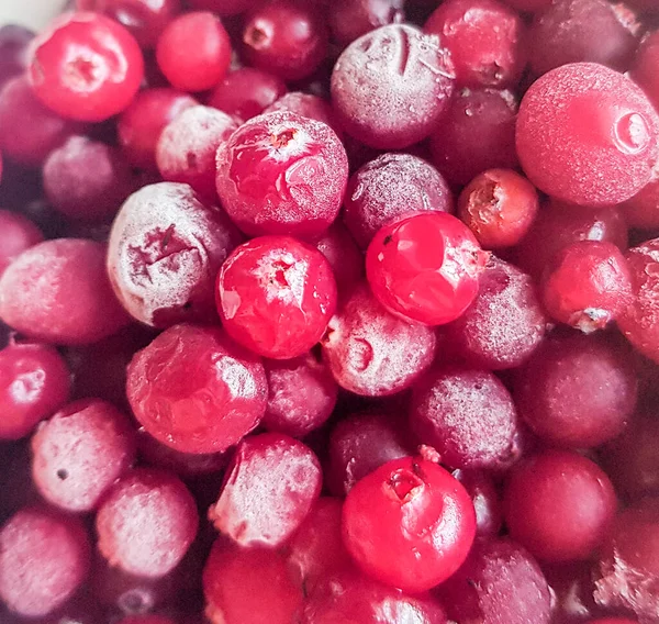 Close Van Bevroren Cranberries Lingonberries Berry Food Achtergrond Gezonde Natuurlijke — Stockfoto