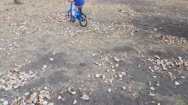 Rückenansicht eines glücklichen Jungen in blauer Jacke und Gummistiefeln, der im Park auf dem verdorrten Gras Fahrradfahren lernt. Unabhängigkeit und Ausdauer des Kindes, 4k-Video — Stockvideo