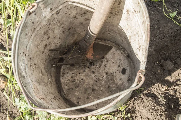 在花园的泥土和草地的背景上 用一个旧的 肮脏的 生锈的铁桶进行特写 — 图库照片