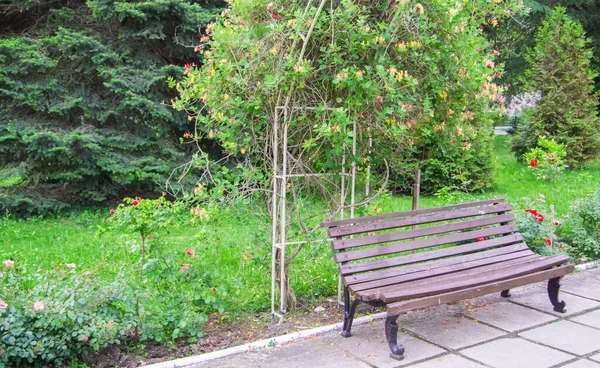 一个古老的木制长椅 靠近一个布满鲜花的格栅 一个春天的公园 一个有选择的焦点 — 图库照片