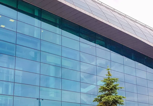 Modern Kantoorgebouw Van Glas Beton Buitenaanzicht Sparren Achtergrond Van Het — Stockfoto