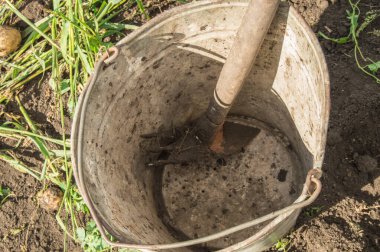 Bahçedeki toprak ve çimlerin arka planında tırmık olan paslı, eski bir demir kovanın yakın çekimi..
