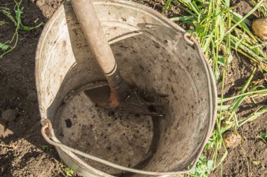 Bahçedeki toprak ve çimlerin arka planında tırmık olan paslı, eski bir demir kovanın yakın çekimi..